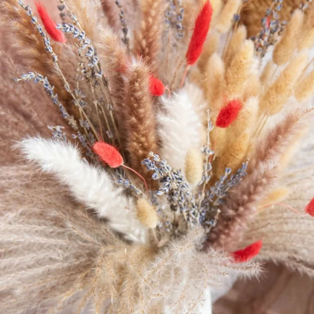Natural Pampas Lavender Dried  - đánh giá và giá Pampas Grass Decor
